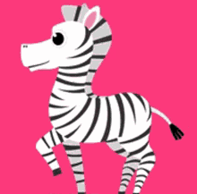 Zebra Animation GIF