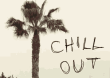 Chill Out GIF - Chill Out Palm Trees GIFs