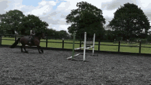 Frankie Declan Horse GIF - Frankie Declan Horse Jump GIFs