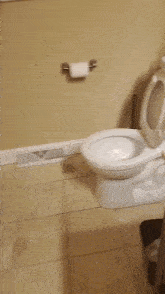 Toilet Toilets GIF - Toilet Toilets Toilets Paper GIFs