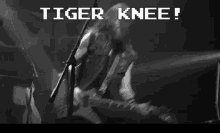 Tiger Knee Grant Britt Knee GIF - Tiger Knee Grant Britt Knee Unleash The Archers GIFs