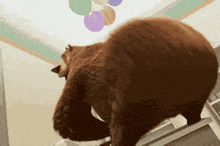 a large brown bear is standing in front of balloons on the ceiling