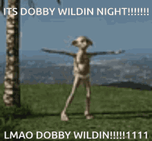 Dobby Dobby Wildin GIF - Dobby Dobby Wildin GIFs