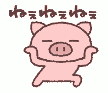 butata pig cute dancing