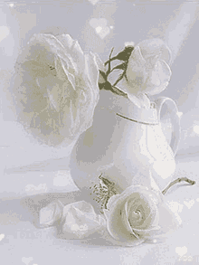 White White Rose GIF - White White Rose Hearts GIFs