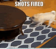 Shots Fired GIF - Shots Fired Meme GIFs