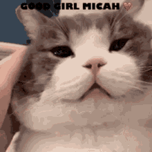 a close up of a cat with the words good girl micah written on it