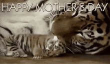Happy Mothers Day Tiger GIF - Happy Mothers Day Tiger GIFs