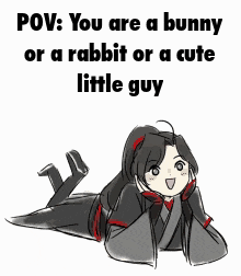 You Are A Bunny You Are A Rabbit GIF