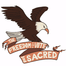 freedom to vote is sacred eagle american eagle bald eagle flying eagle