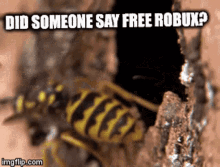 Did Someone Say Free Robux Robux GIF - Did Someone Say Free Robux Robux Free GIFs