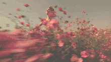 a blurred image of a woman in a field of pink flowers