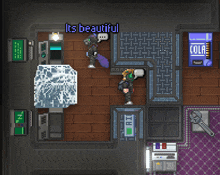 a screenshot of a game that says its beautiful