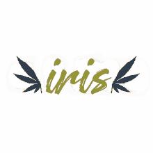 iris sweets