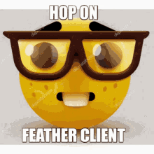 client feather