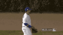 Chicago Cubs GIF