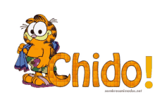 Chido GIF - Chido GIFs