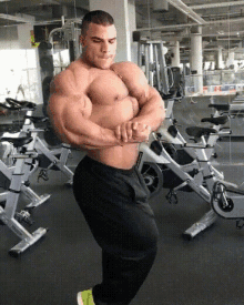 hassan mostafa bodybuilder posing