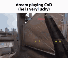 Dream Cod GIF - Dream Cod Playing GIFs