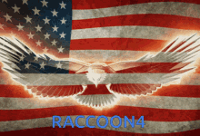 Raccon4 Raccon4the Peopls Choice GIF