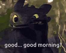 a toothless from how to train your dragon says " good morning "