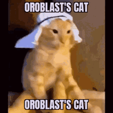 Oroblast GIF - Oroblast GIFs