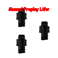 a screenshot of a minecraft character with the words normal property life above it