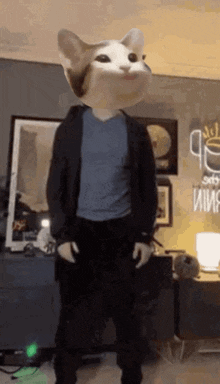 a man with a cat 's head is standing in a room