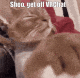 a cat laying on a couch with the caption shoo get off vrchat
