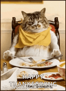 a cat wearing a yellow scarf is sitting at a table with a plate of food and the words happy thanksgiving have a great day