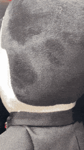 a close up of a stuffed animal 's neck