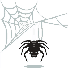 spider halloween party joypixels webs cobweb