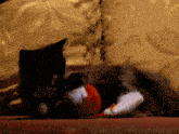 a cat playing with a ball of red yarn