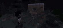 Minecraft The Haunted The Haunted Armen GIF - Minecraft The Haunted The Haunted Armen Minecraft GIFs