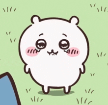 a cartoon hamster is standing in the grass with a laptop in the background .