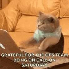 Cat Typing GIF - Cat Typing Work GIFs