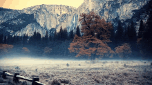 Lake Mountain GIF - Lake Mountain Tree GIFs
