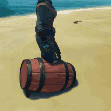 Sea Of Thieves Sot GIF - Sea Of Thieves Sot Barrel Tuck GIFs