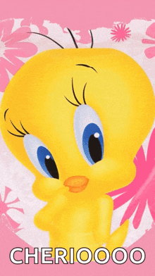 a picture of tweety on a pink background with cherioooo