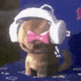 a small puppy wearing headphones and a pink bow