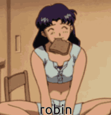 Evangelion Misato GIF - Evangelion Misato Robin GIFs