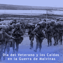 Veterano Argentina GIF - Veterano Argentina Dia Del Veterano GIFs