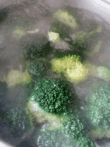 Brocoli Steamed Brocolli GIF - Brocoli Steamed Brocolli GIFs