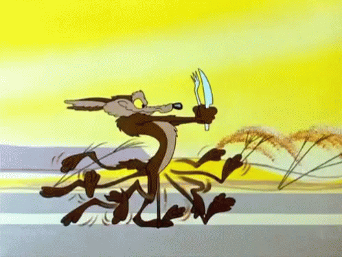 Wylie Coyote Gif Wylie Coyote Discover Share Gifs
