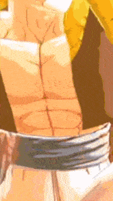 a close up of a person 's torso with a blue belt around it .
