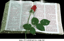 Santa Biblia Biblia GIF