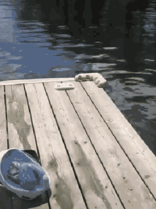 Not Funny GIF - Not Funny Amused GIFs