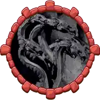 a picture of a snake with three heads in a red frame