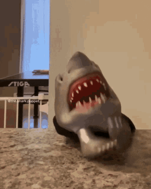 Shark Puppet Shark Week GIF - Shark Puppet Shark Shark Week - Discover &  Share GIFs