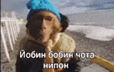 a monkey wearing a blue hat and a scarf is standing on a beach .
